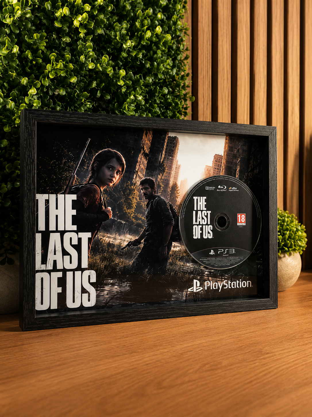 Cadre décoratif The Last of Us – PS3