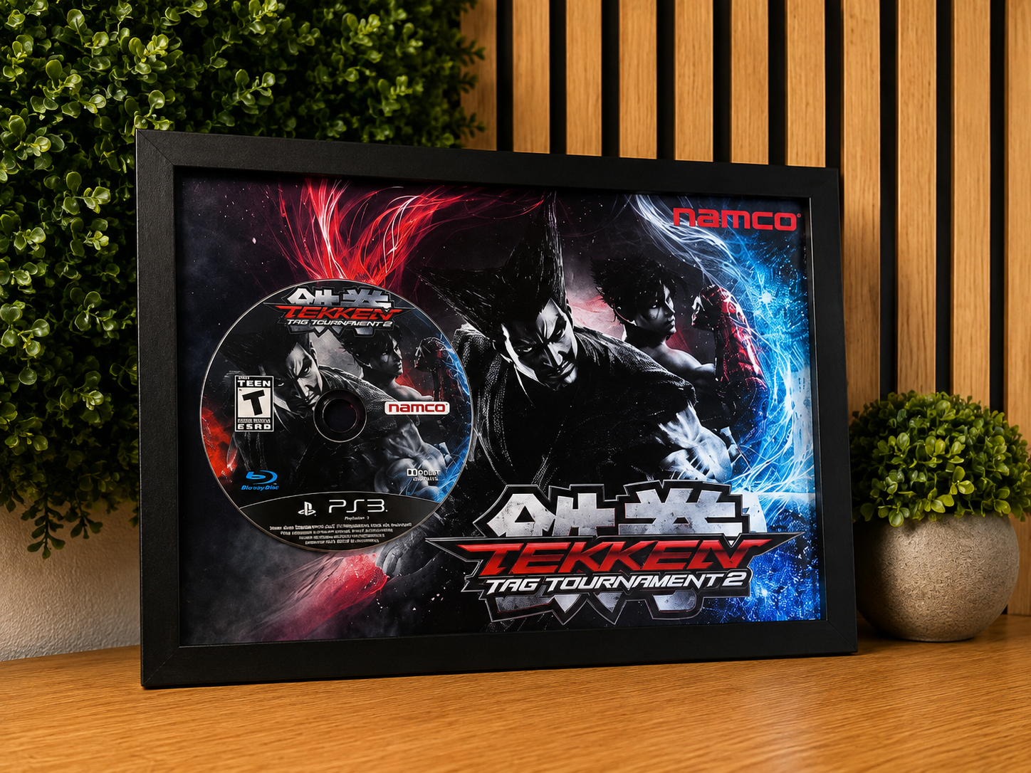 Cadre décoratif Tekken Tag Tournament 2 – PlayStation 3