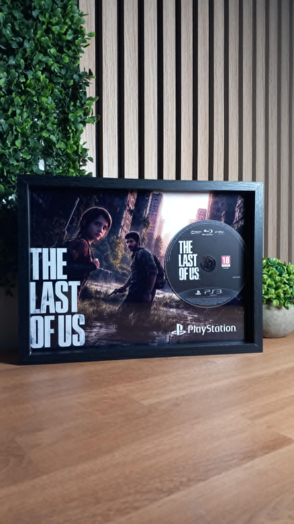 Cadre décoratif The Last of Us PS3