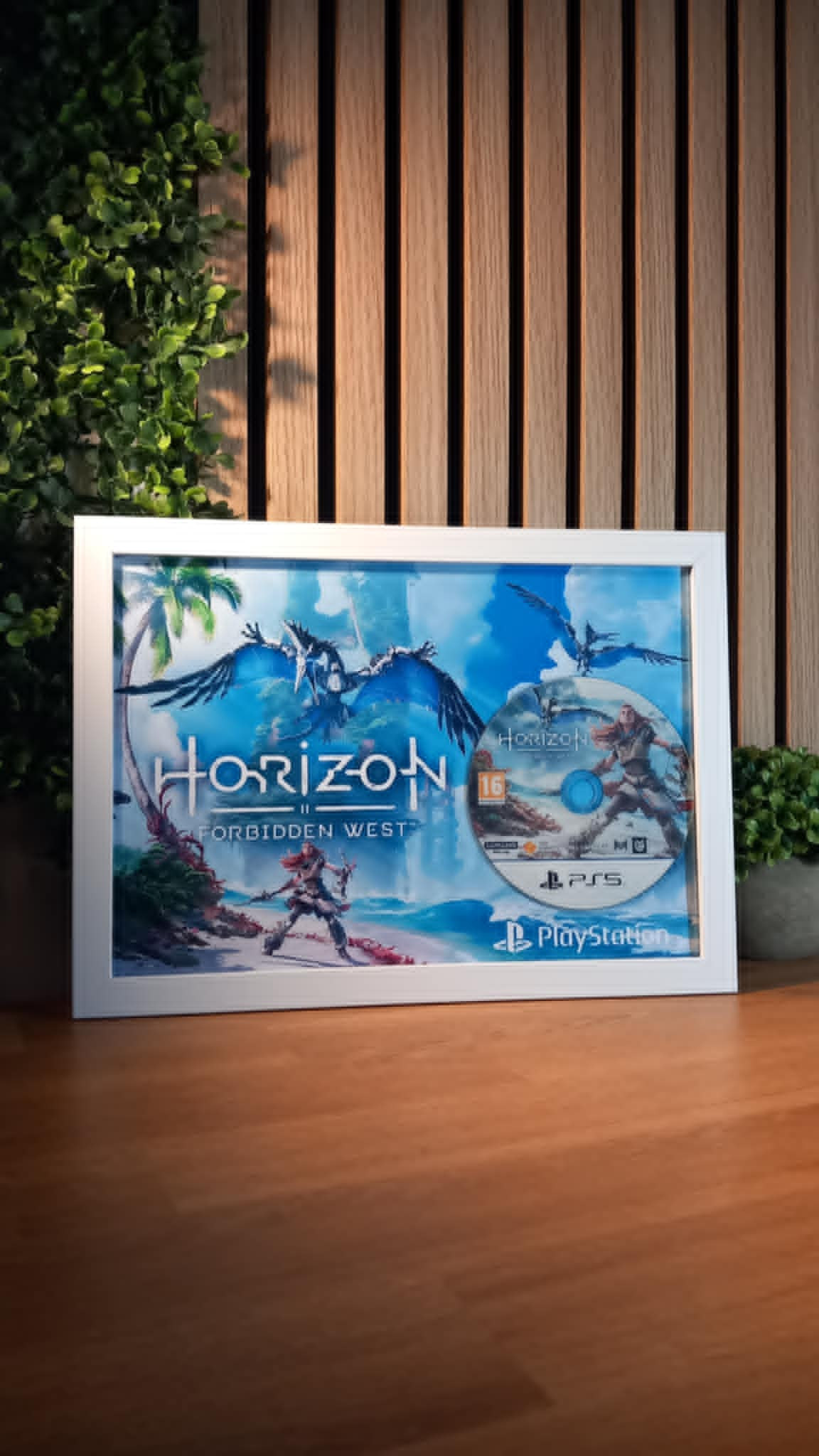 Cadre décoratif Horizon Forbidden West PS5 – Aloy